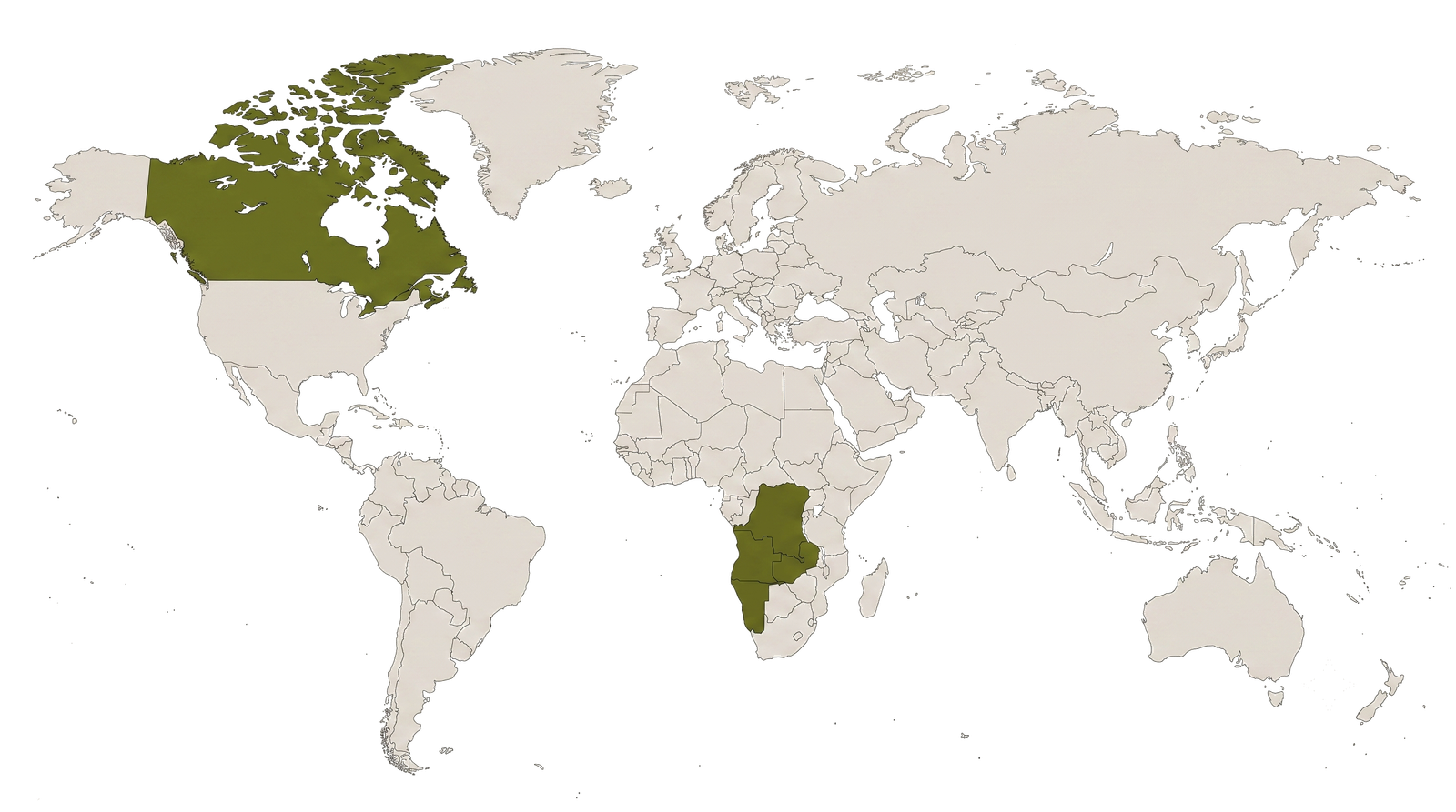 LEEN OLIVES global export world map